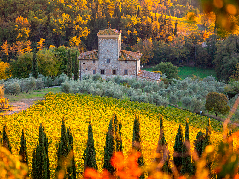 TAPPA 12_CHIANTI